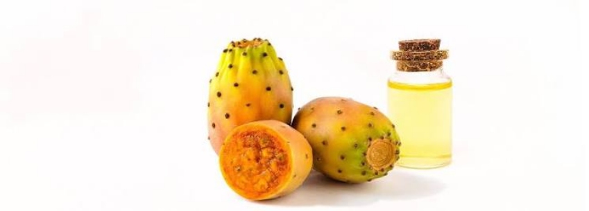 فروش روغن هسته میوه کاکتوس خالص + عرضه مستقیم و تضمین کیفیت تولید ایران