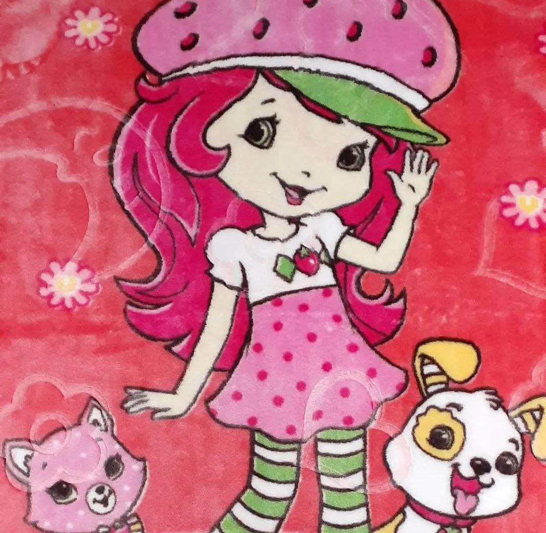 قیمت عمده و عرضه باکیفیت پتو نوجوان زنبق