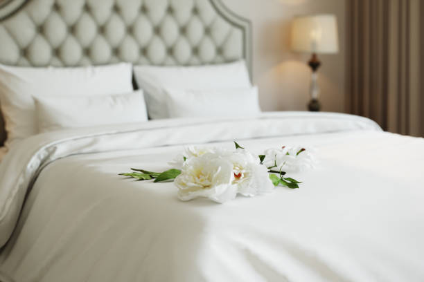 خرید روتختی