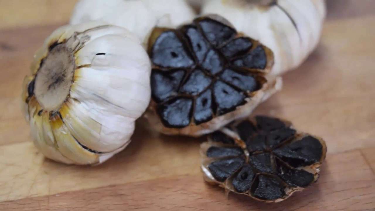 تصویر 4 از سیر سیاه فیتوسکوپ با بافت نرم دارای طعم شیرین