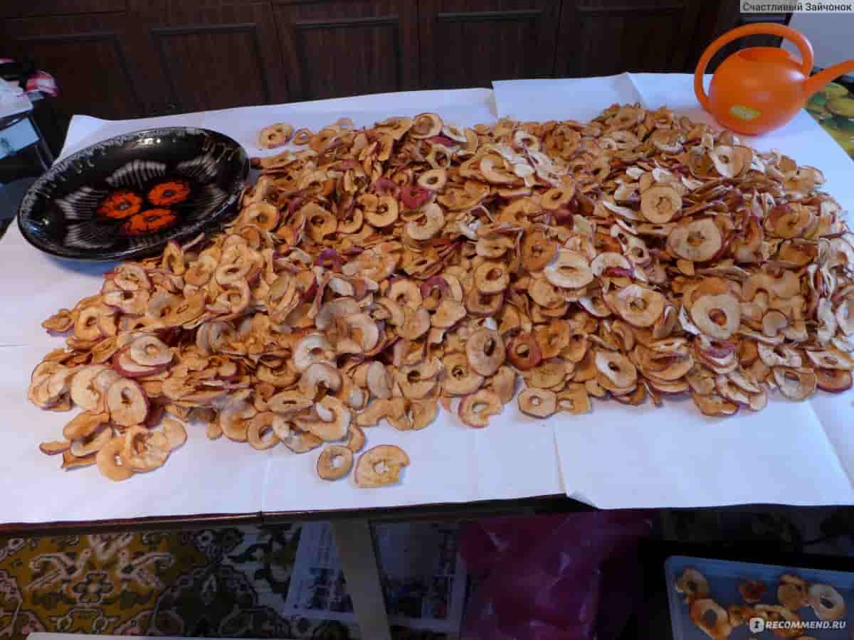 تصویر 4 از میوه خشک ثمن مناسب میان وعده های سالم