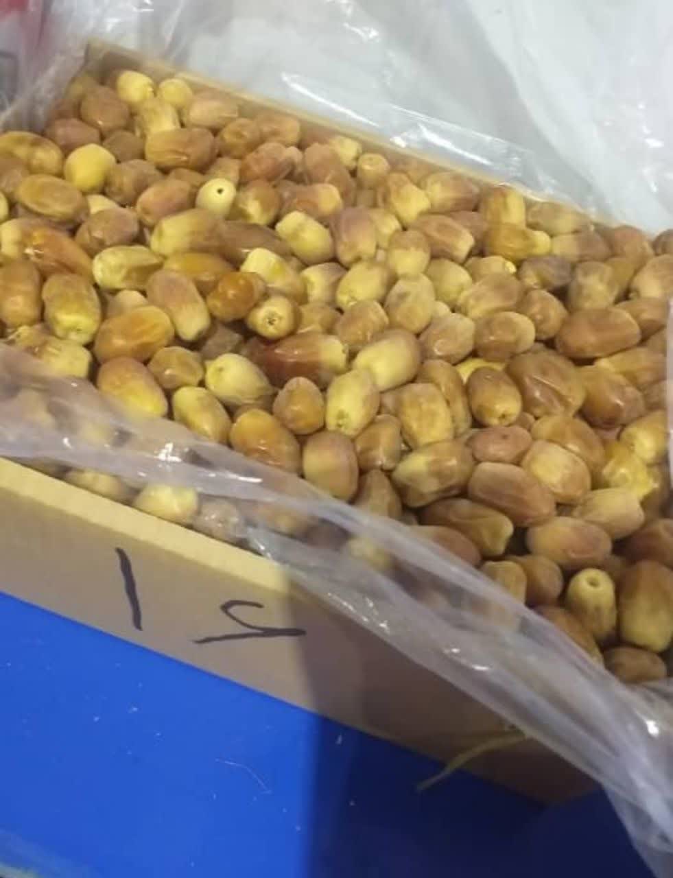 خرما زاهدی درجه یک فراشبند داخلی صادراتی