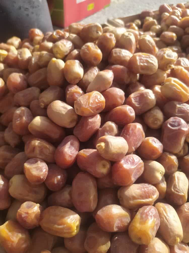 تصویر 2 از خرما زاهدی قیرکارزین تناژ نامحدود داخلی صادراتی بهترین کیفیت مناسب بازار افغانستان وپاکستان