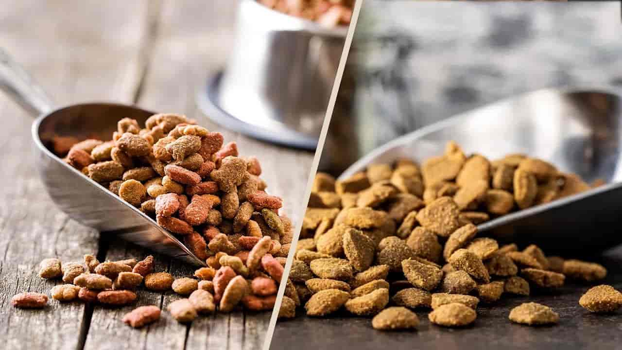 غذای سگ polaris با طعم گوشت تازه انتخابی لذت بخش و خوشمزه