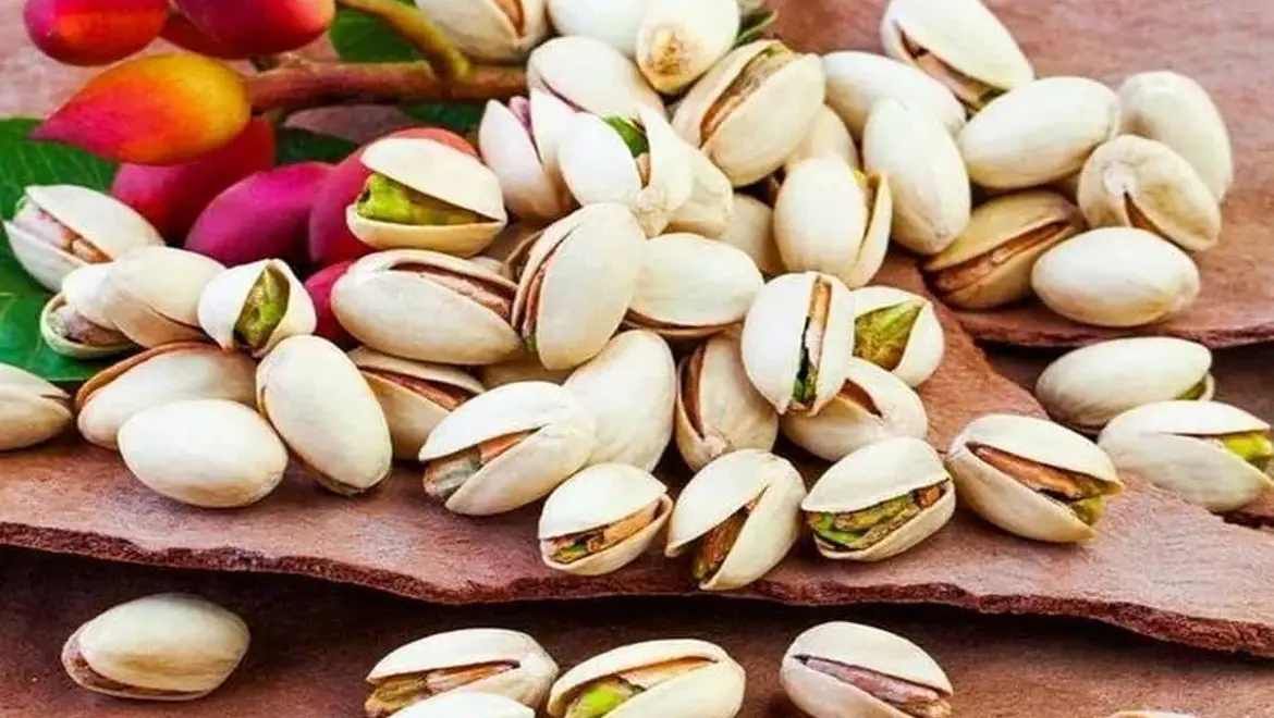 تصویر 2 از پسته اکبری درجه یک مناسب مصارف خاص