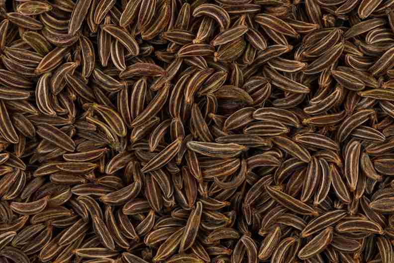 تصویر 4 از زیره کوهی سیاه مخصوص تأمین عطاری‌ ها