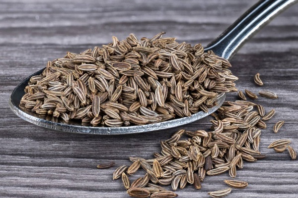 تصویر 4 از زیره سبز خراسان با دانه‌ های سالم و یکدست