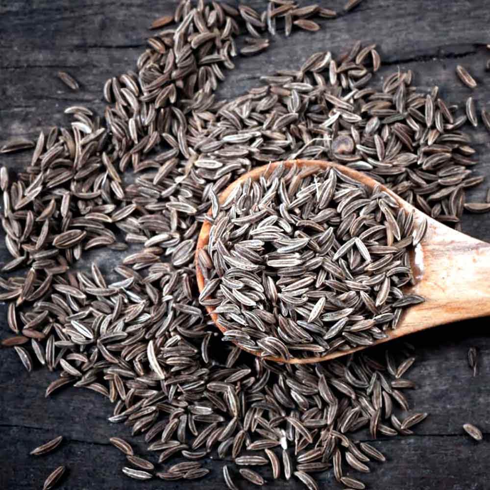 زیره سیاه کرمان اصل هماهنگ با غذاهای سنتی