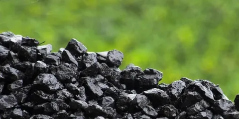 قیمت زغال فشرده