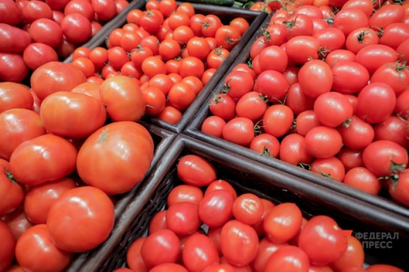 تصویر 3 از گوجه‌ فرنگی صادراتی با کیفیت ممتاز و ماندگاری بالا