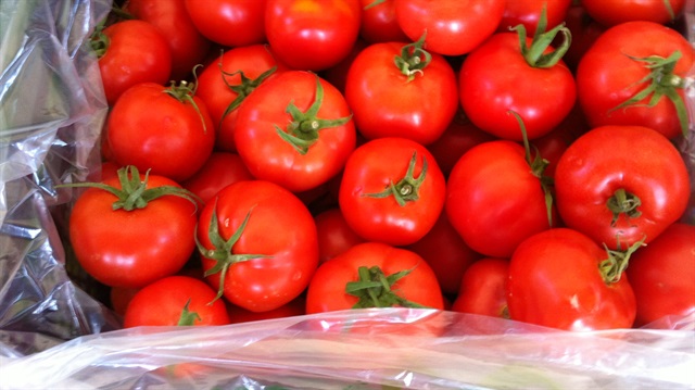 تصویر 4 از گوجه فرنگی یک کیلویی با قابلیت نگهداری طولانی‌ مدت