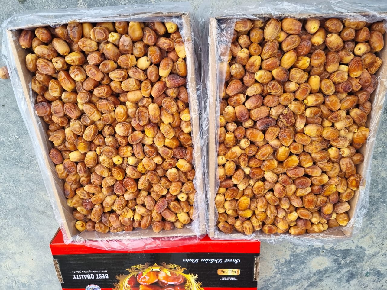 تصویر 2 از قیمت انواع خرما زاهدی درجه یک فراشبند داخلی صادراتی