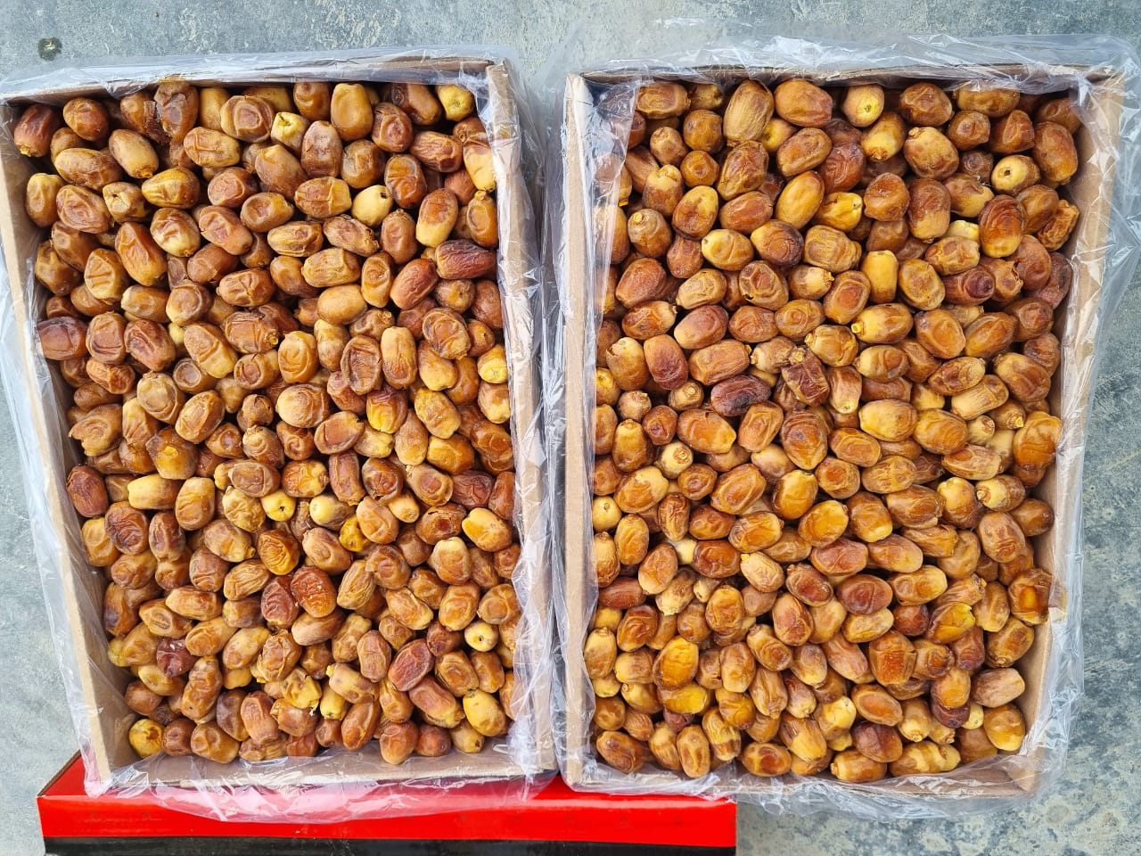 تصویر 1 از قیمت انواع خرما زاهدی درجه یک فراشبند داخلی صادراتی