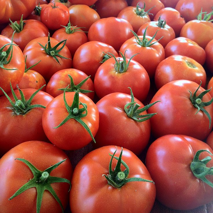 تصویر 3 از گوجه فرنگی طبیعی و خوش‌ طعم محصول روز