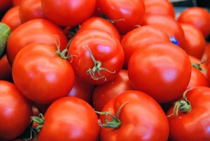 تصویر 4 از گوجه فرنگی طبیعی و خوش‌ طعم محصول روز