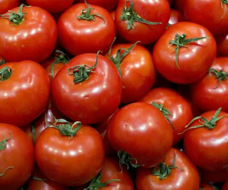 تصویر 2 از گوجه فرنگی سرخ با کیفیت بالا مناسب صنایع غذایی