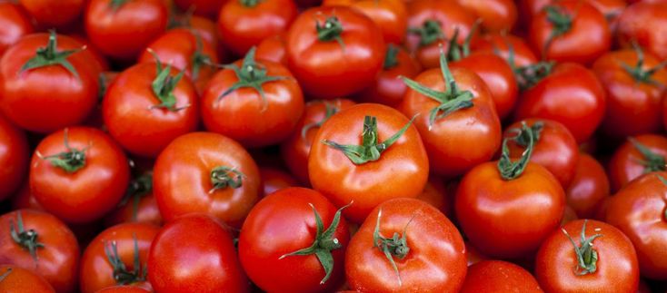 تصویر 3 از گوجه فرنگی سرخ با کیفیت بالا مناسب صنایع غذایی