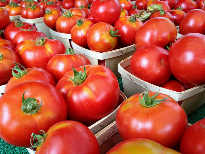 تصویر 4 از گوجه فرنگی طبیعی محصول روز با طعم اصیل و رنگ بازارپسند