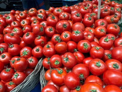 تصویر 4 از گوجه فرنگی سفت و ماندگار مناسب حمل‌ و نقل و توزیع گسترده