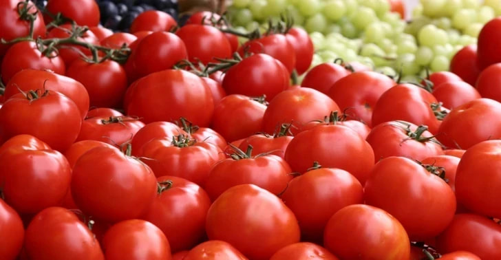 گوجه فرنگی خوش‌ رنگ و خوش‌ فرم مناسب تزئین و مصرف خام