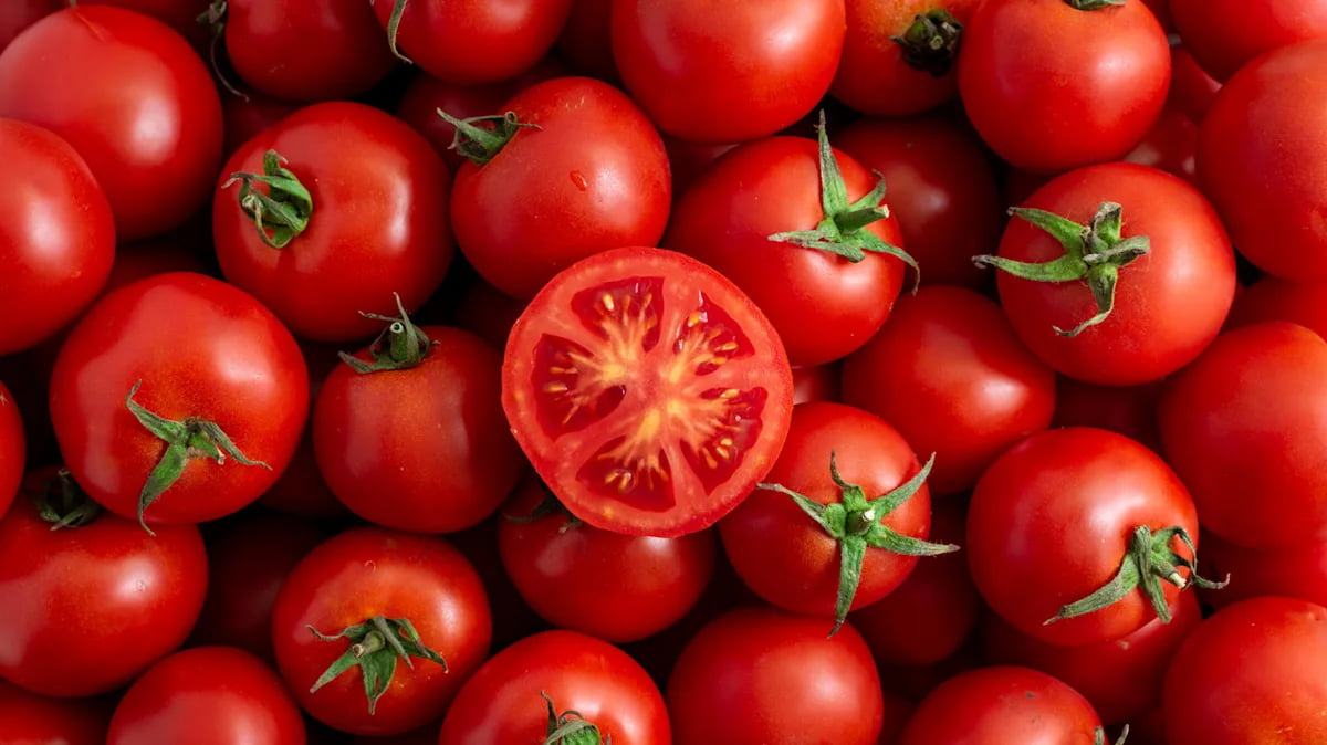 تصویر 4 از گوجه فرنگی خوش‌ رنگ و خوش‌ فرم مناسب تزئین و مصرف خام