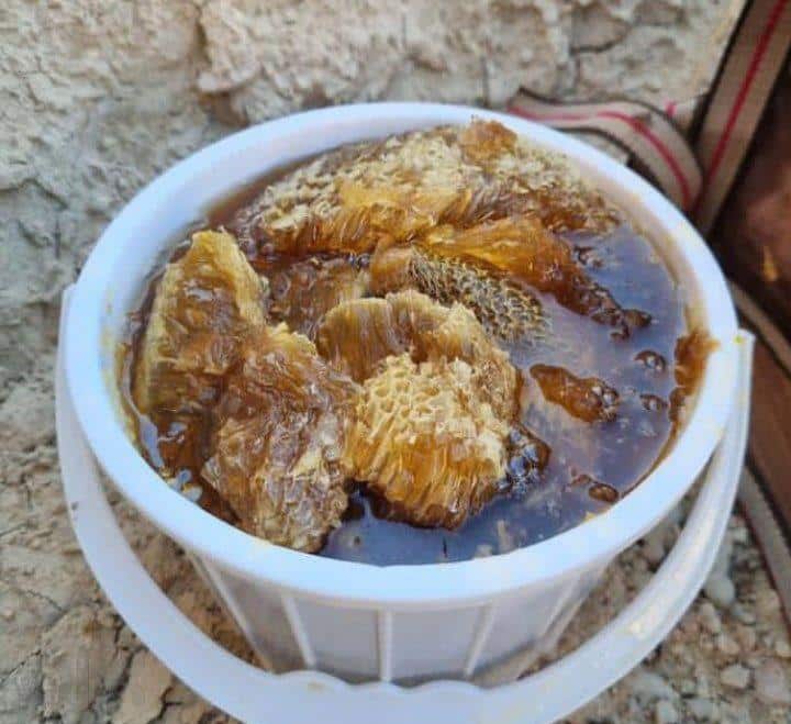 تصویر 4 از عسل وحشی بوشهر استخراج شده از کندوهای طبیعی