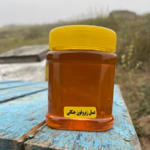 تصویر 4 از عسل جنگلی مازندران برداشت شده از مناطق بکر