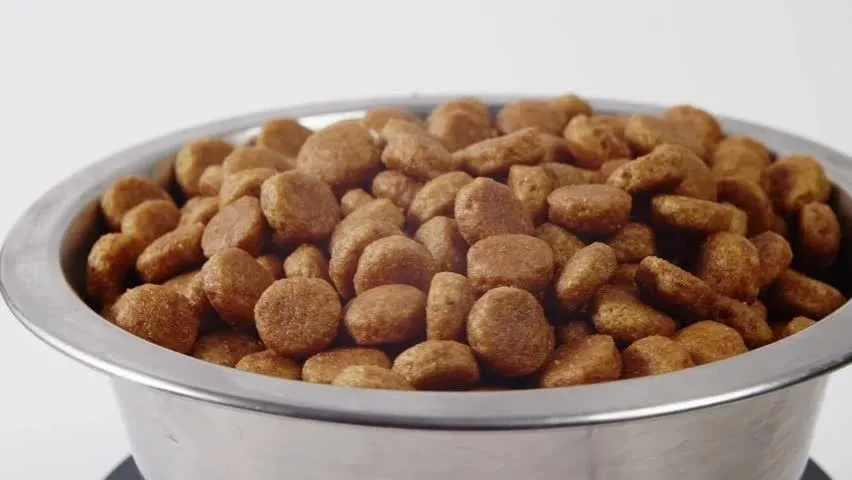 تصویر 2 از غذای سگ بالغ مناسب رشد سالم و افزایش انرژی طبیعی روزانه