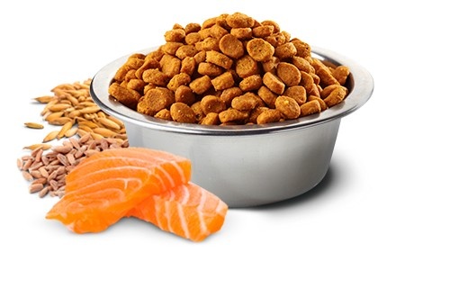 تصویر 3 از غذای سگ حاوی پروتئین بالا برای تقویت عضلات و تامین انرژی روزانه