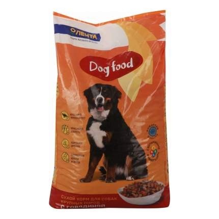 غذای سگ حاوی سبزیجات تازه و تمام ویتامین های مورد نیاز برای حفظ سلامتی