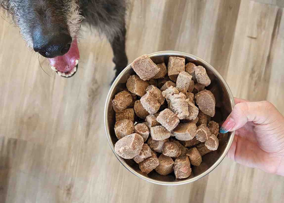 تصویر 2 از غذای سگ خوشمزه با طعم گوشت واقعی حاوی ویتامین و بسیار مغذی