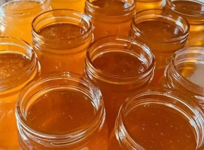 تصویر 4 از عسل صنعتی تولید شده با استانداردهای کنترل کیفیت