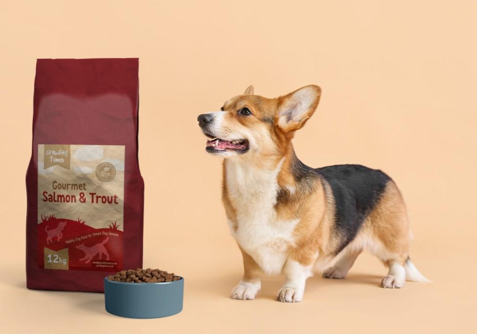 غذای سگ تولید شده با فرمول ویژه برای کاهش استرس روزانه