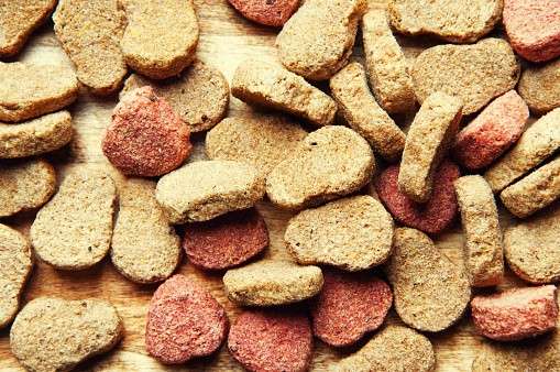 غذای سگ بالغ با ترکیبات سبک برای هضم آسان و حاوی فیبر طبیعی فراوان