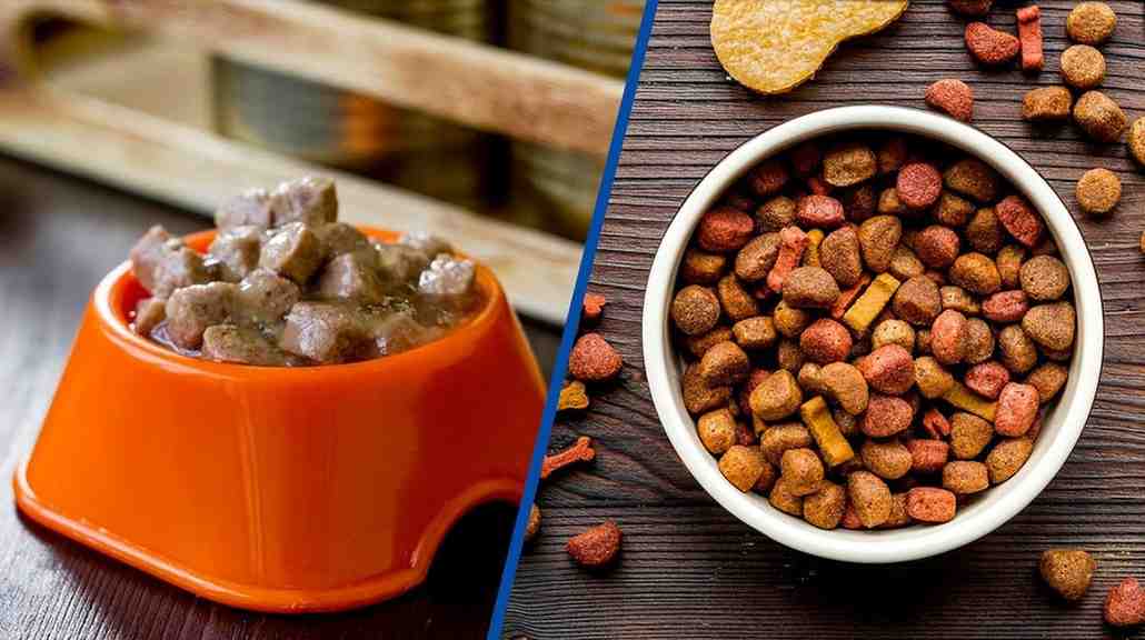 تصویر 3 از غذای سگ مخصوص توله ها با مواد مغذی کامل برای رشد کامل و سلامت عضلات