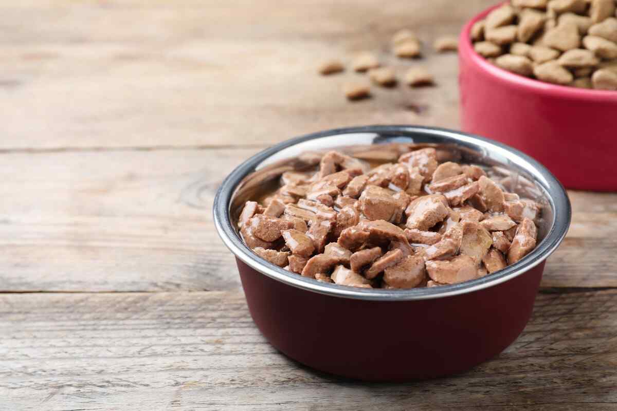 غذای سگ مخصوص توله ها با مواد مغذی کامل برای رشد کامل و سلامت عضلات