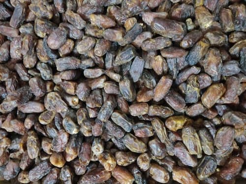 تصویر 3 از خرمای پیارم درجه یک صادراتی و خاص