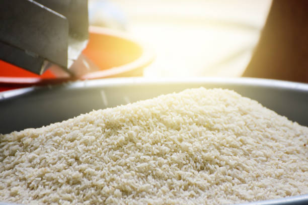 تصویر 2 از برنج کامفیروزی اعلا مناسب سفره رسمی