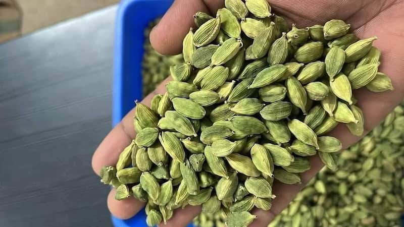 هل سبز درشت کاربردی در شیرینی پزی و دسر