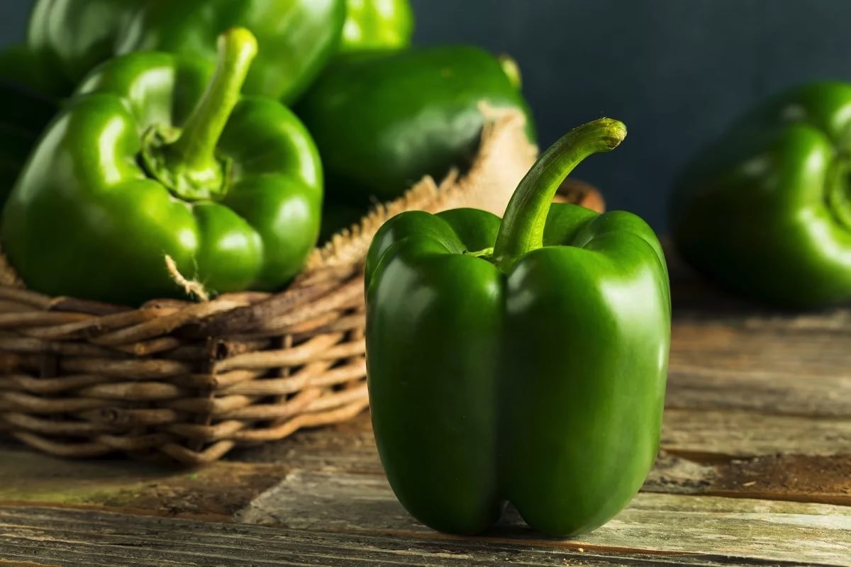 تصویر 5 از فلفل دلمه سبز کیفیت ممتاز