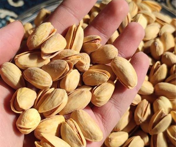 پسته فندقی درجه 1 مناسب ترکیب با سایر مغز های مرغوب