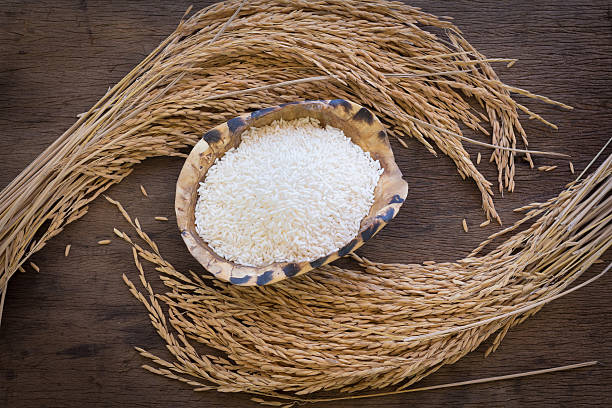 تصویر 1 از برنج کامفیروزی ممتاز با دانه کشیده