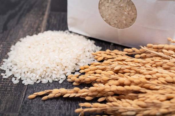 برنج کامفیروزی صادراتی با استاندارد بالا