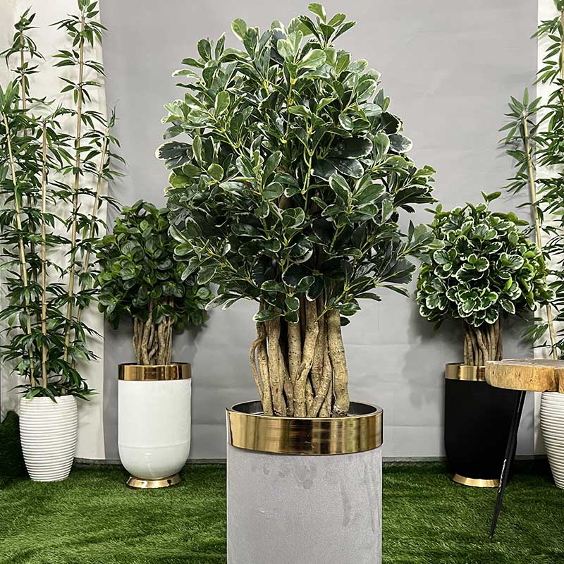 گل‌ و‌ گیاه‌ آپارتمانی مناسب محل کار