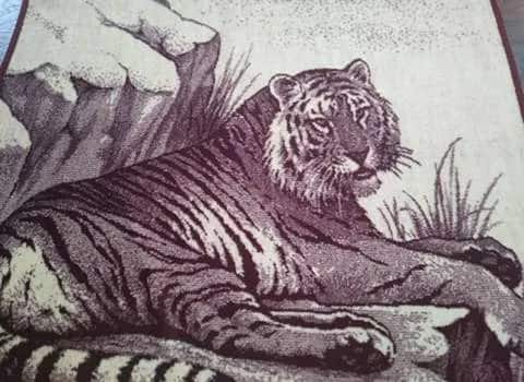 قیمت پتو پلنگی