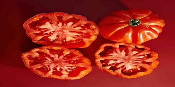 تصویر 1 از گوجه خشک اسلایس آفتابی با رنگ و طعم طبیعی