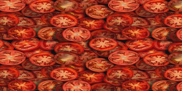 تصویر 3 از گوجه خشک اعلا بدون مواد افزودنی و نگهدارنده