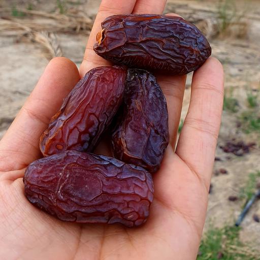 خرما پیارم دانه درشت مناسب مهمانی