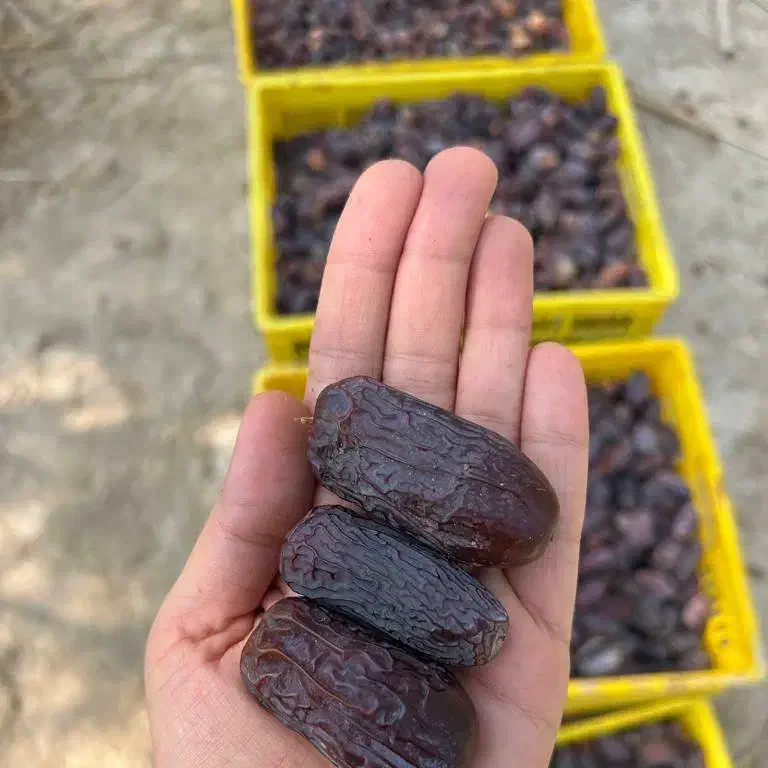 تصویر 3 از خرما پیارم دانه درشت مناسب مهمانی