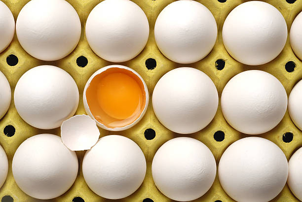 تصویر 3 از تخم مرغ ارگانیک تازه با طعم طبیعی و سالم